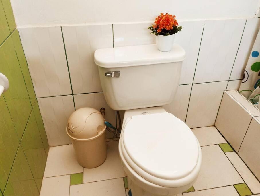 Apartment Florencia